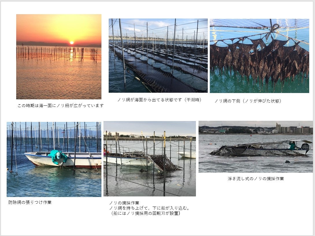 海苔の食害対策に、発電所の知恵と技術！？ | TBSラジオ