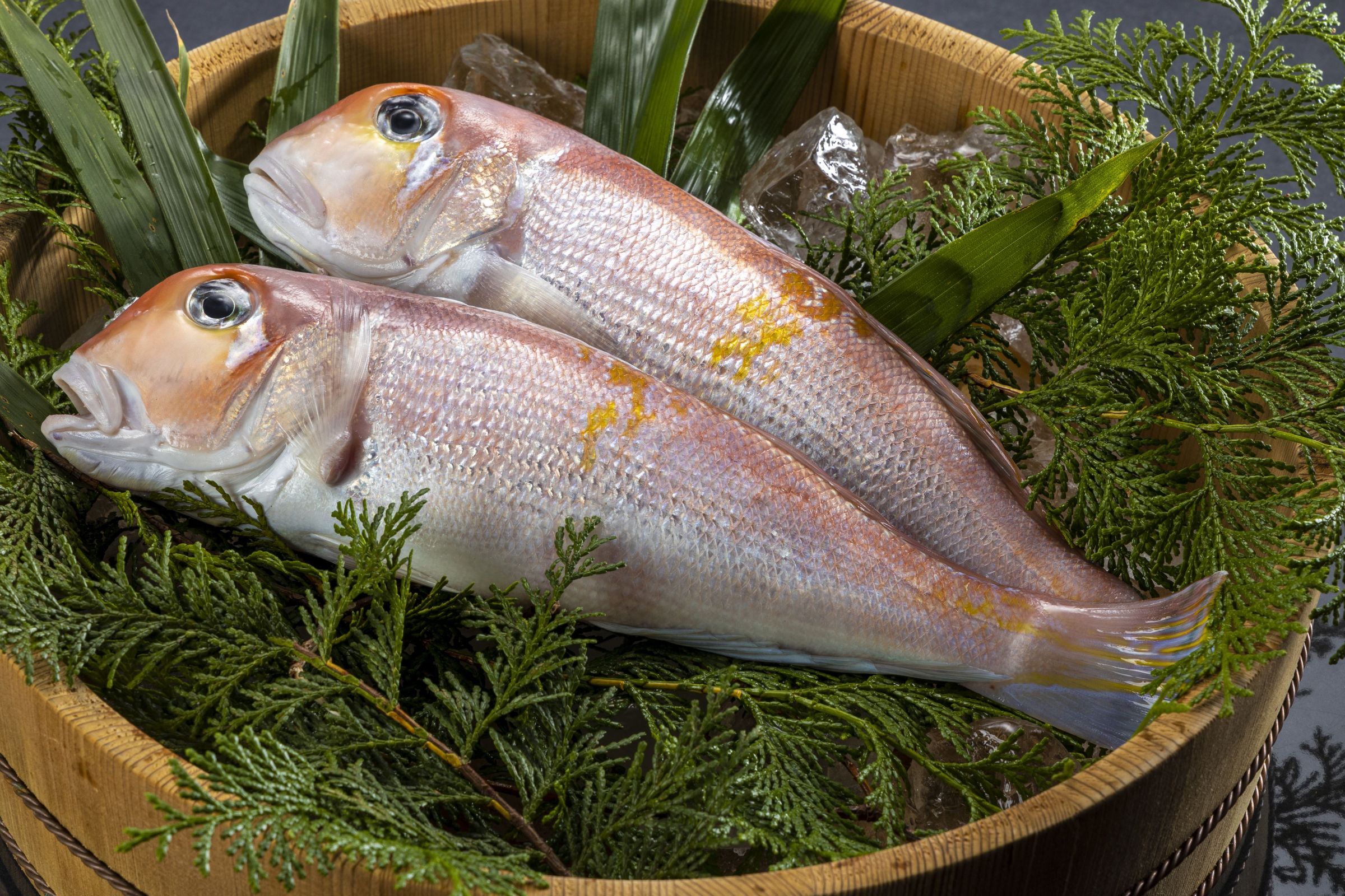 若狭湾の日】お取り寄せで極上鍋！おおい町大島の「若狭甘鯛の
