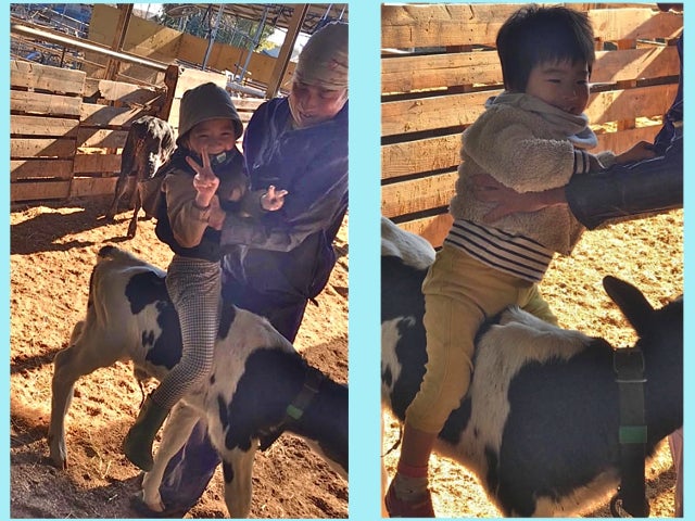 暑い日は牛乳で熱中症予防！酪農を継承し1年。今の想い！ACE原則とは