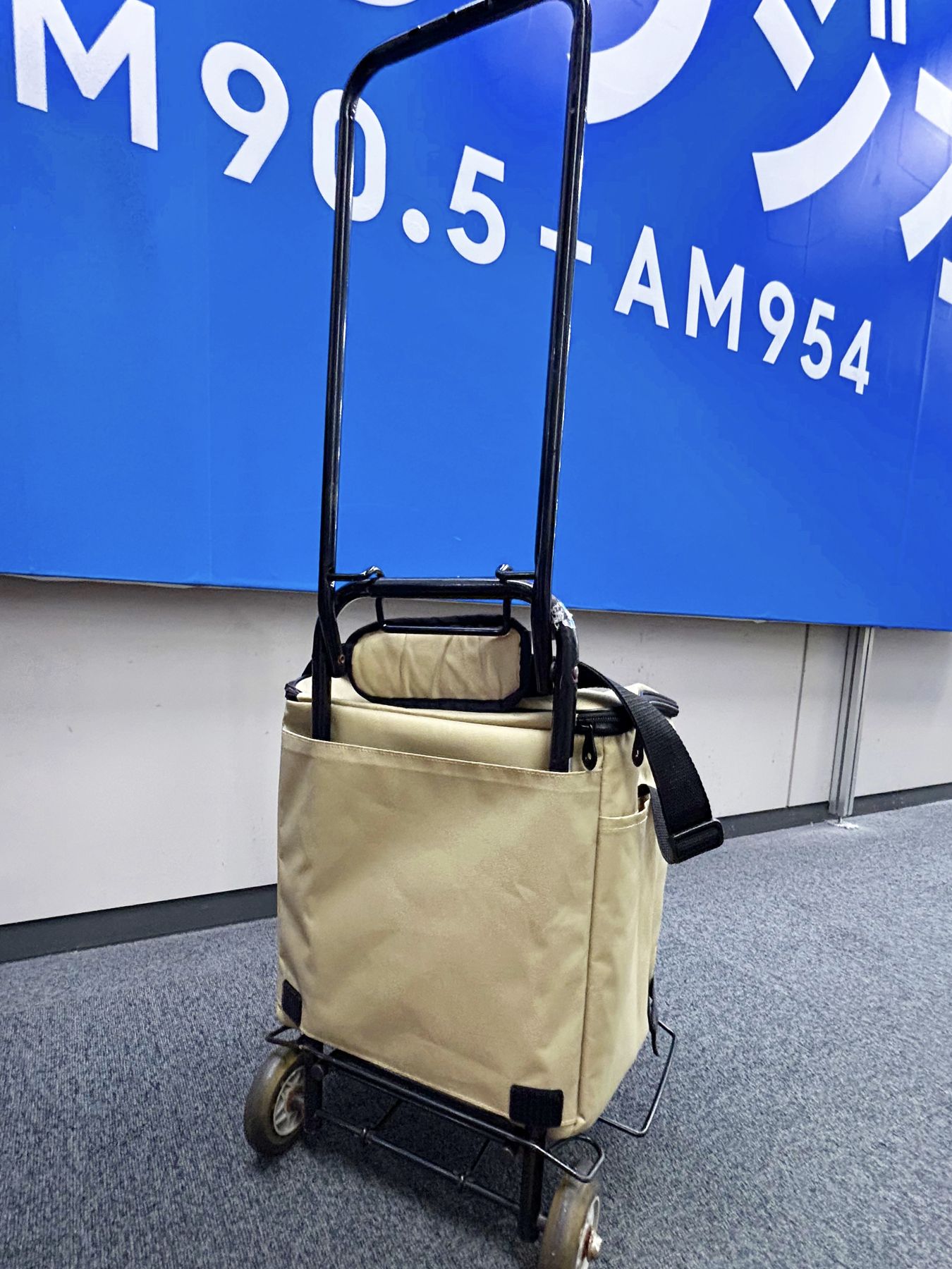 LDK」厳選】本当に良かった保冷バッグをタイプ別に発表！保冷力が最高