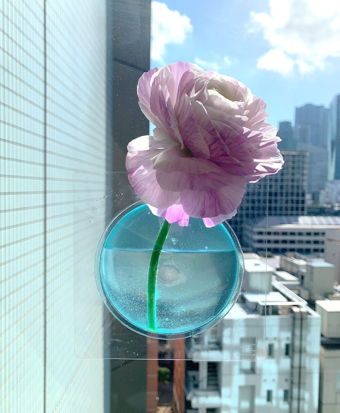 お花と一緒にプレゼント】水を入れるだけで花瓶に変身！折りたためる