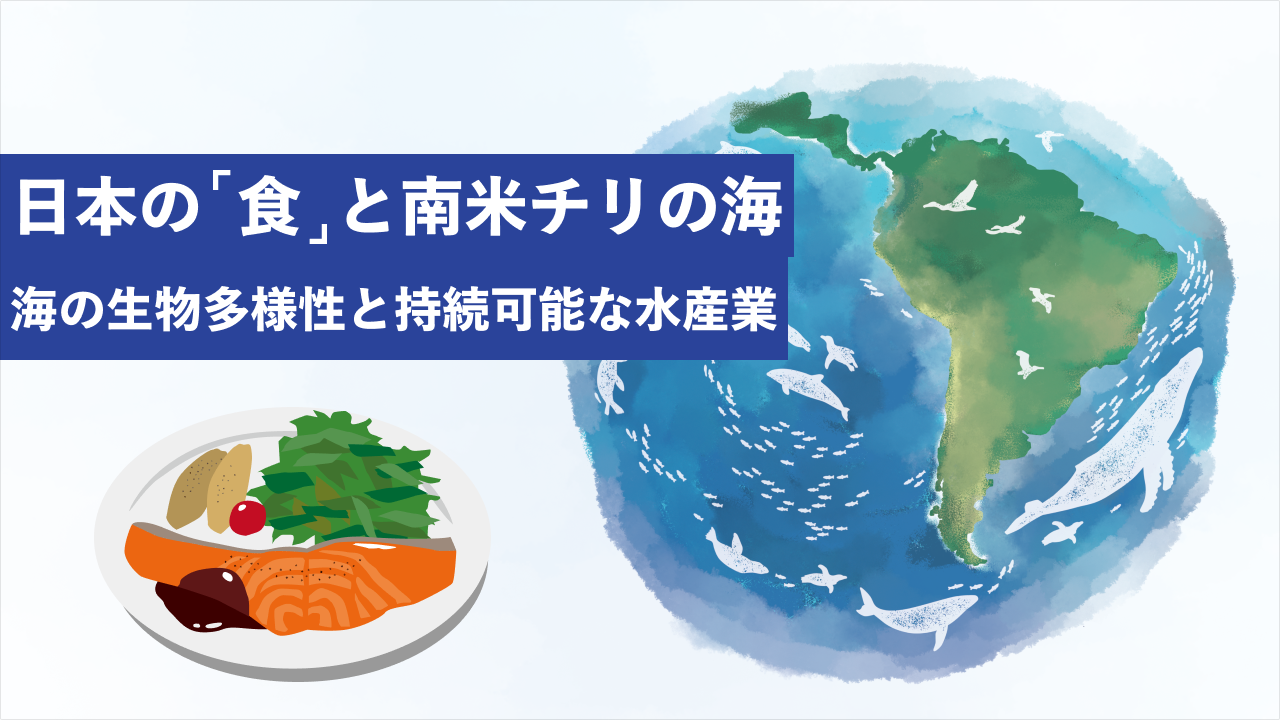 日本の「食」と南米チリの海~海の生物多様性と持続可能な水産業 日本の「食」と南米チリの海~海の生物多様性と持続可能な水産業