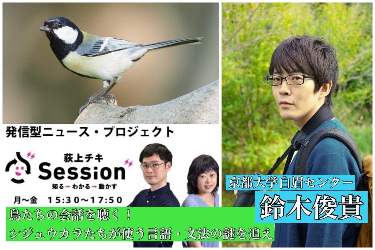 音声配信 鳥たちの会話を聞く シジュウカラたちが使う単語 文法の謎を追え 京都大学 鈴木俊貴さんの研究報告 11月5日 金 放送分 トピックス Tbsラジオ Fm90 5 Am954 何かが始まる音がする