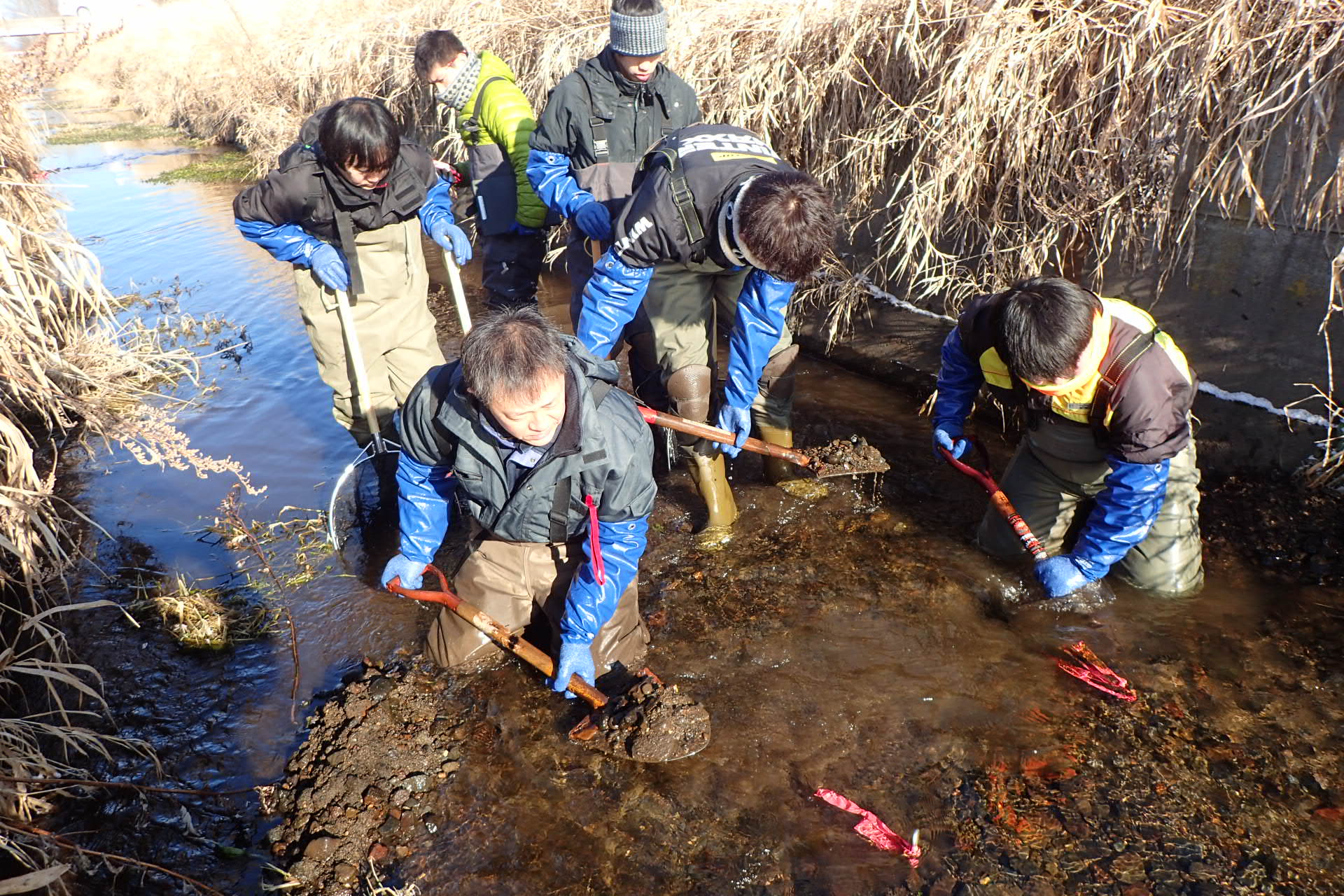 北海道 安い つなぎ