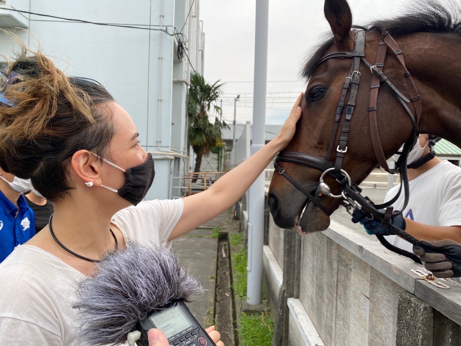 中古】 面白いほど的中する「1馬」秘密の読み方/二見書房/競馬