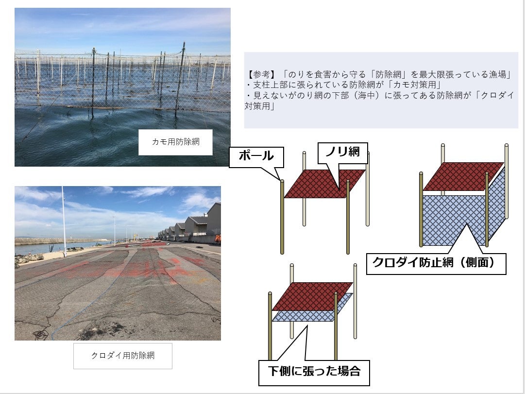 海苔の食害対策に、発電所の知恵と技術！？ | TBSラジオ
