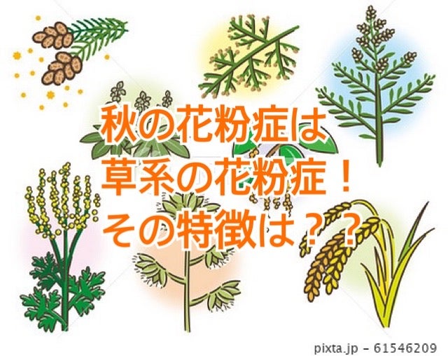 秋の花粉症にご用心！ | TBSラジオ