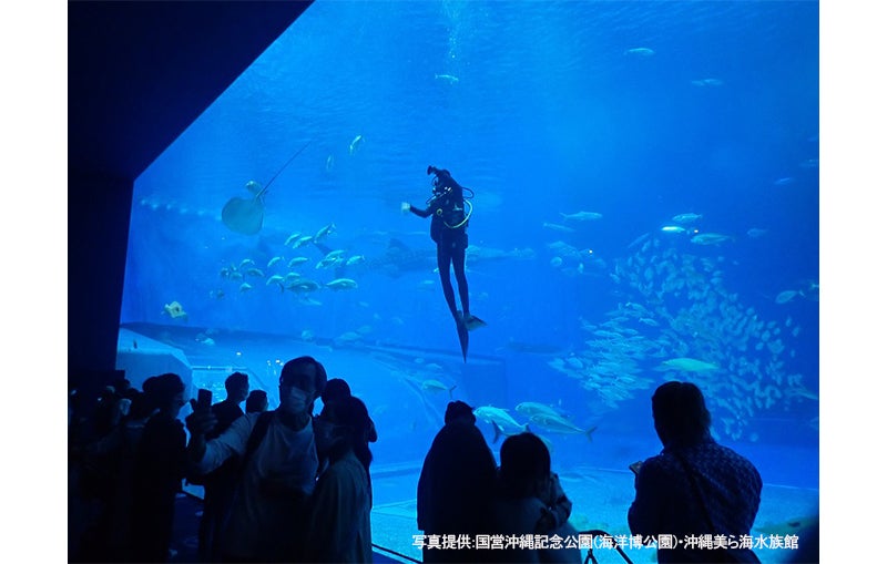 沖縄美ら海水族館の巨大水槽ってどうやって掃除するの？ | TBSラジオ