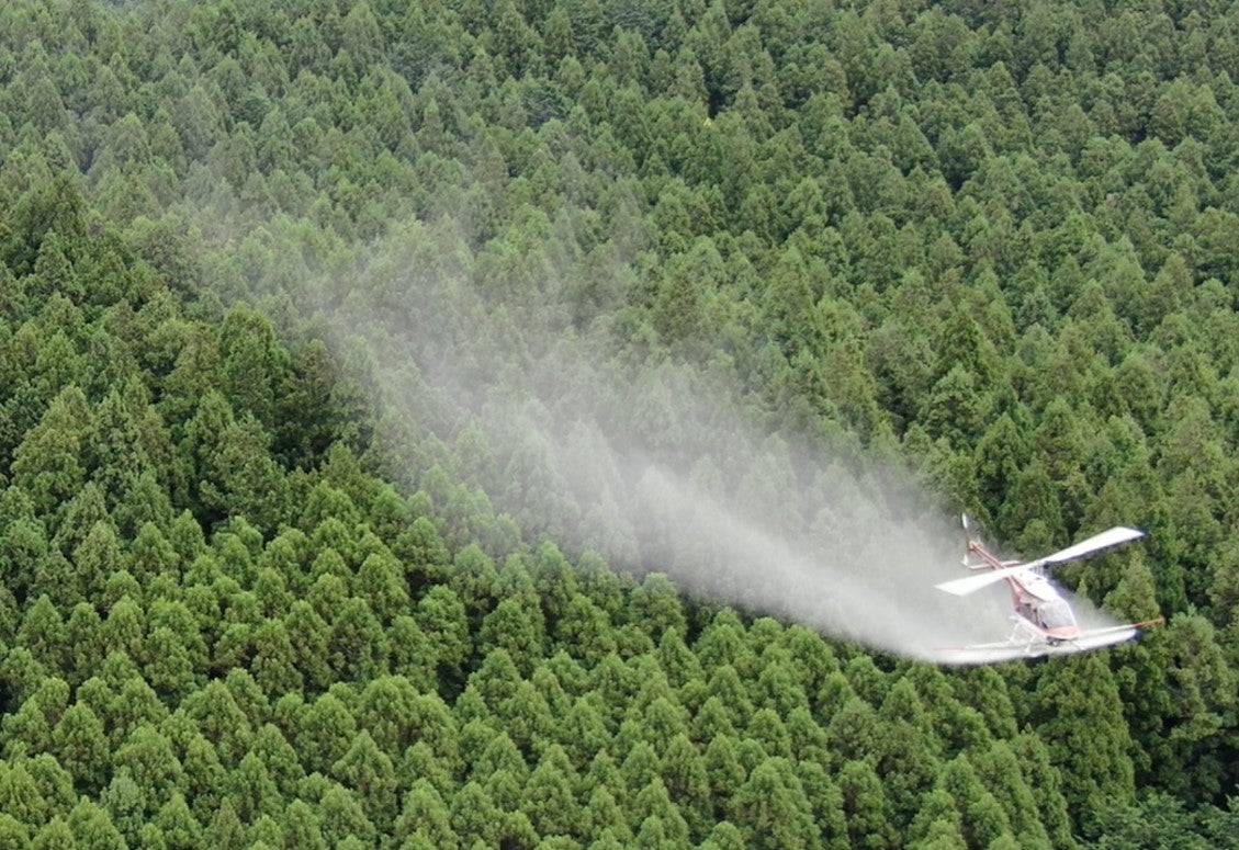 スギ花粉の苦しみからついに解放？花粉飛散防止薬の散布実験！ | TBSラジオ