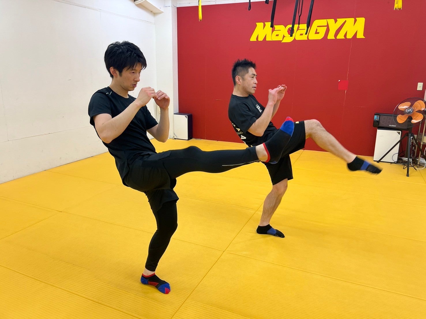 クラヴマガ キックミット 格闘技 【公式通販】
