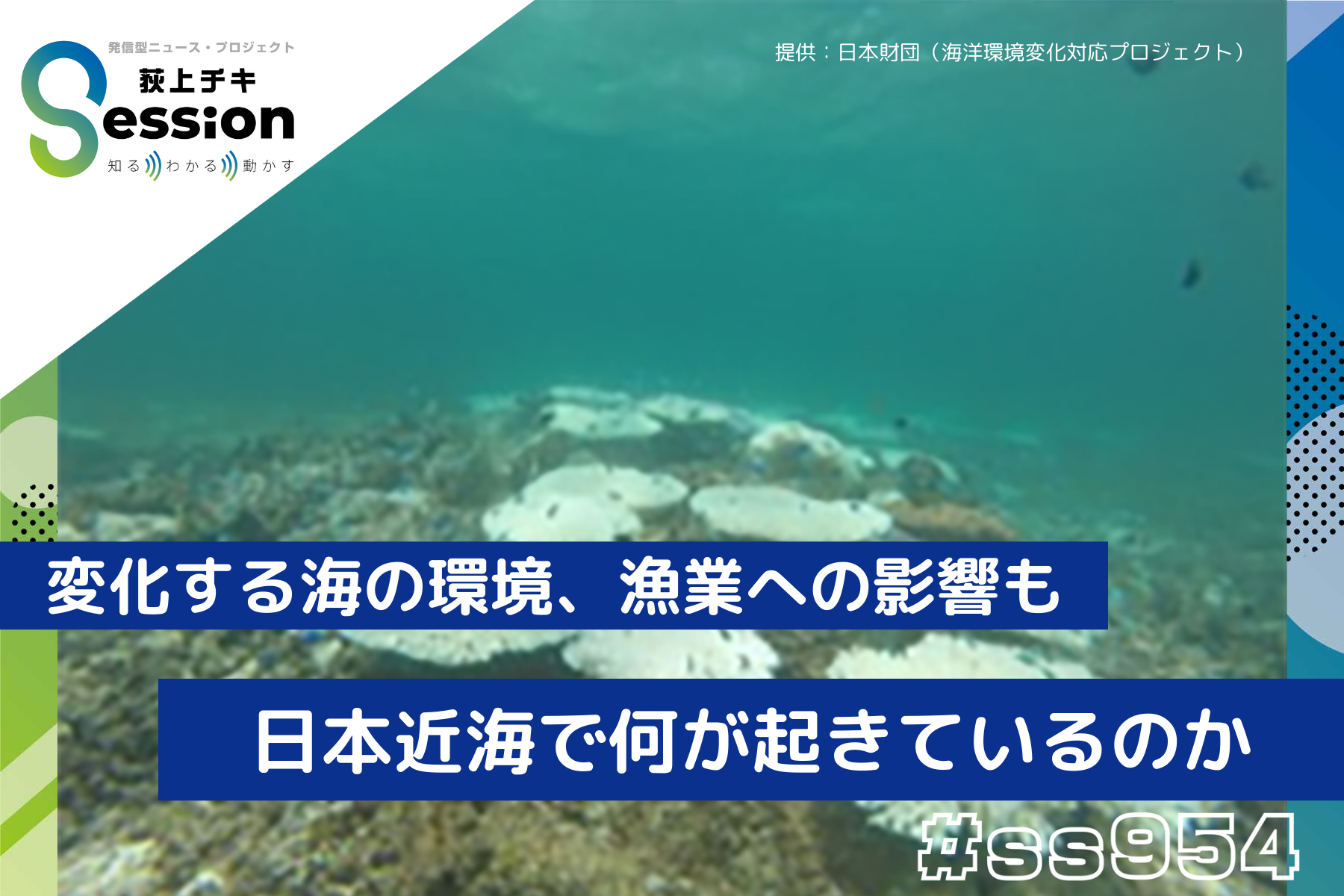 2/4（火）特集「変化する海の環境、漁業への影響も。 日本近海で何が