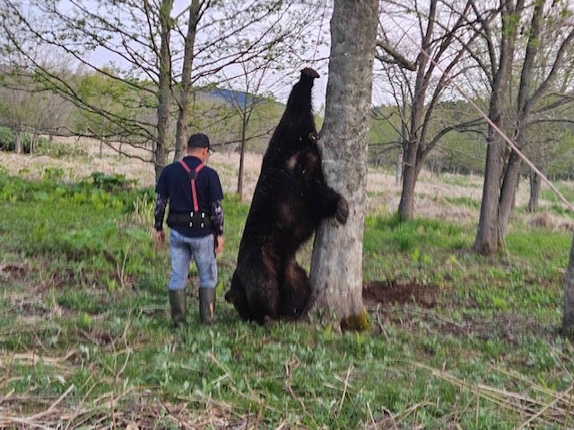 相次ぐ熊の出没 ハンター不足と法改正 | TBSラジオ