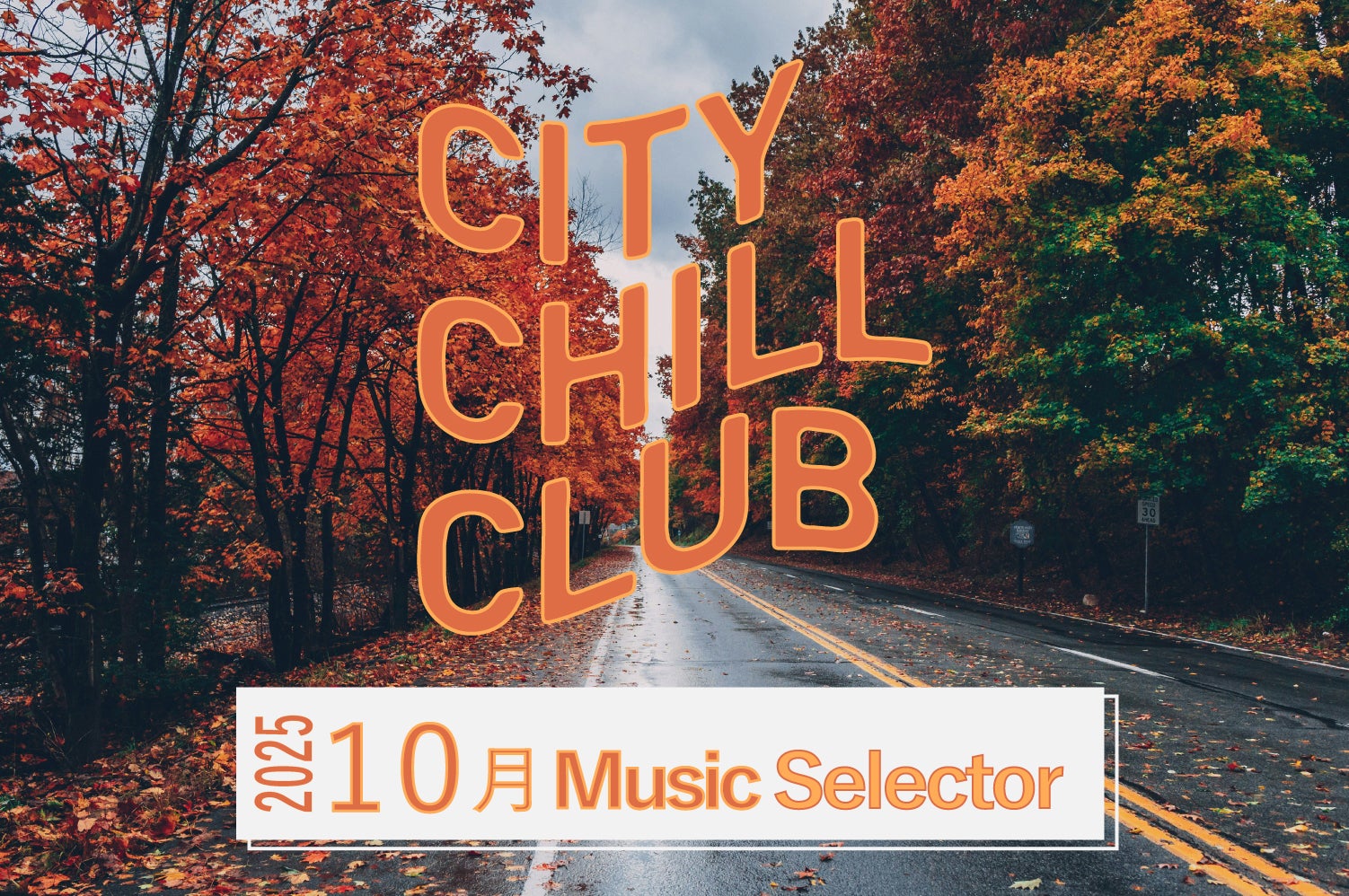 クォリティライフ　チル Quality Life chill Quality Life ＊ Wood Lures ＊ - クオリティライフ