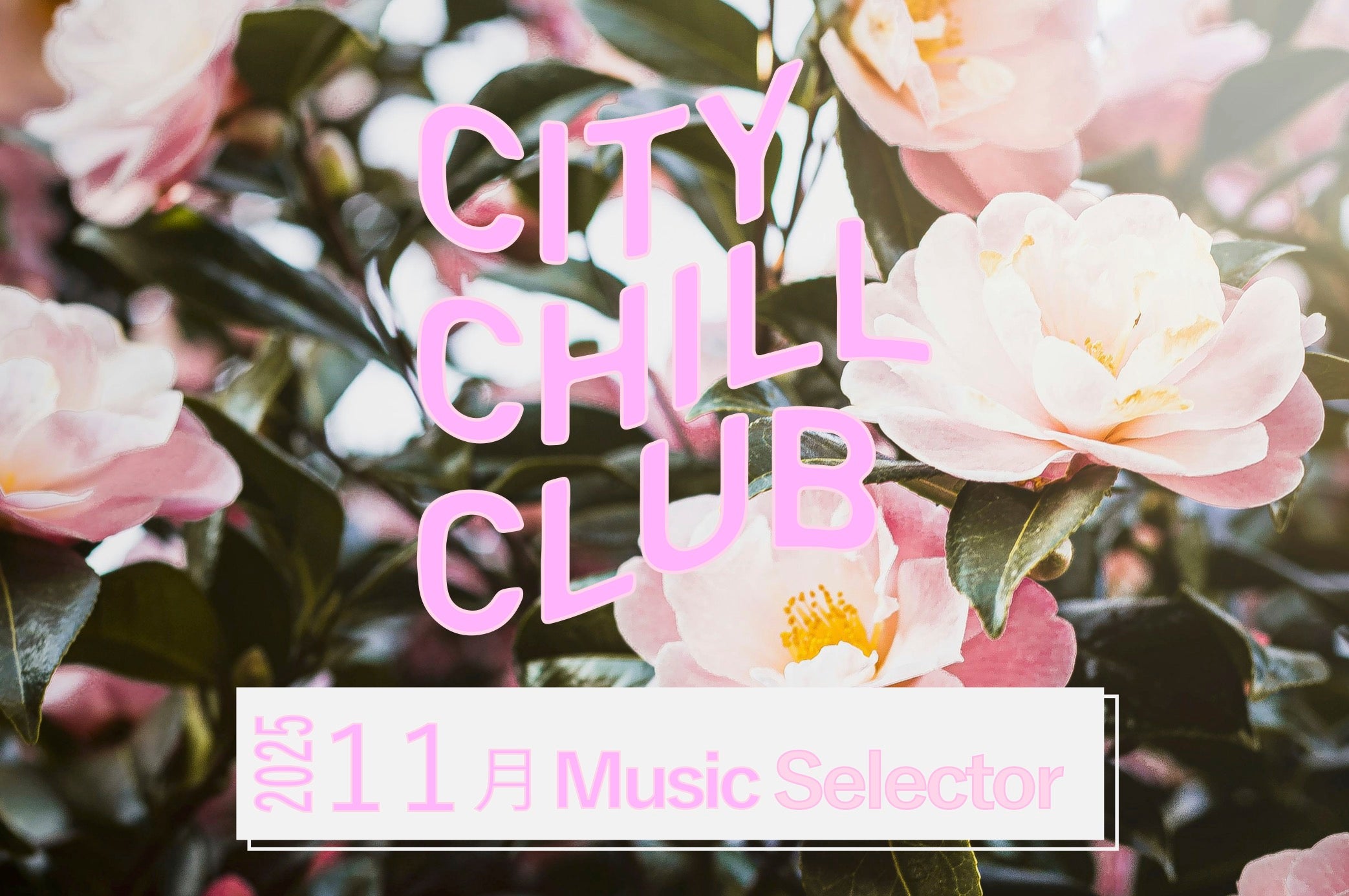 CITY CHILL CLUB』11月のミュージックセレクターが決定！ | TBSラジオ