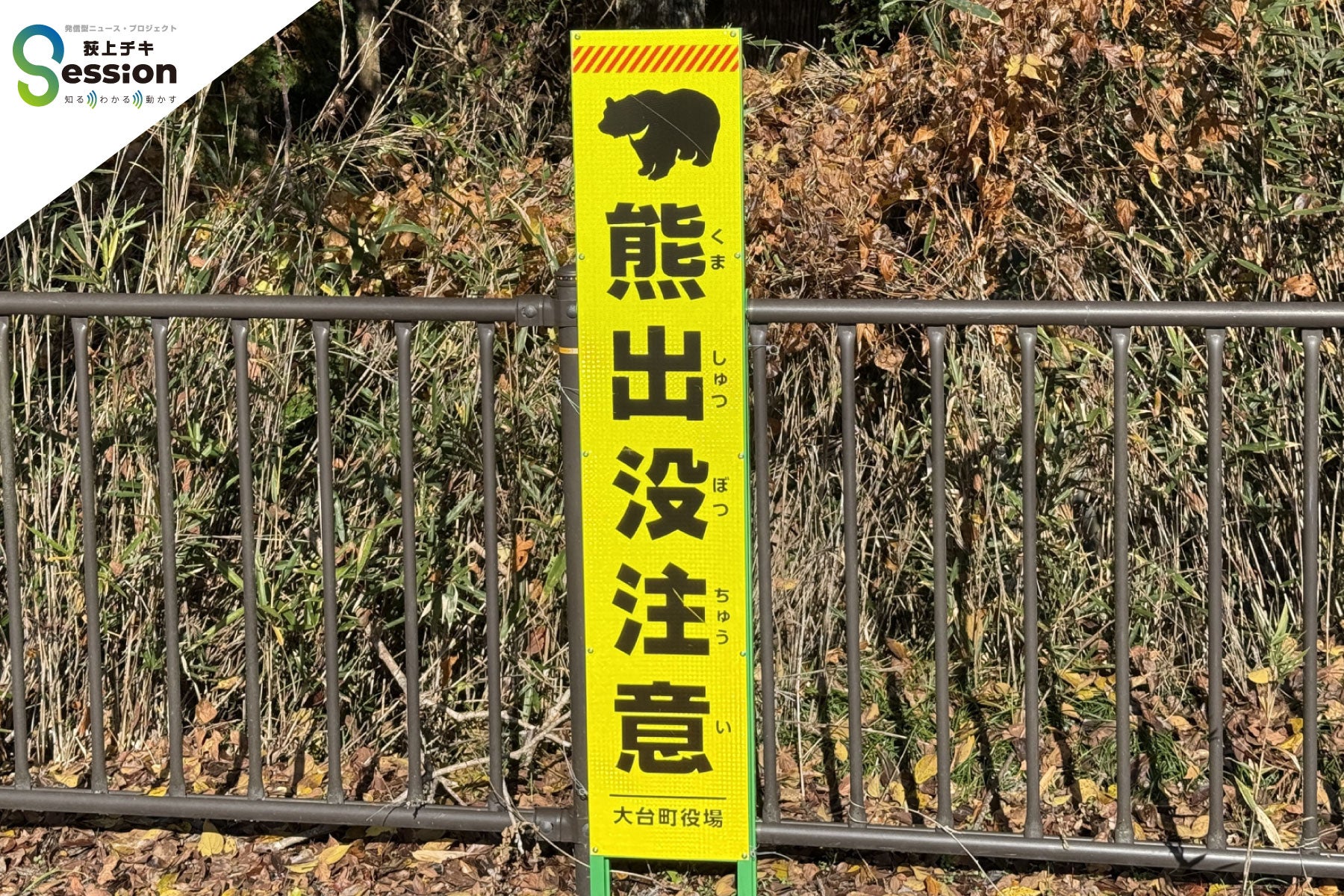 クマが人を襲う理由とは？「食べ物の9割は植物」なのに…専門家が解説