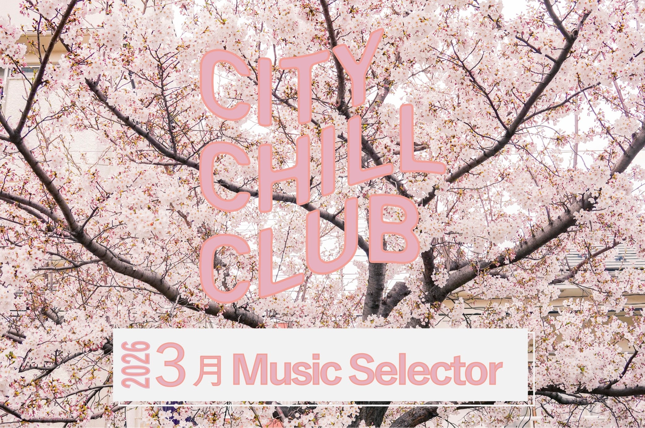 CITY CHILL CLUB』3月のミュージックセレクターが決定！ | TBSラジオ