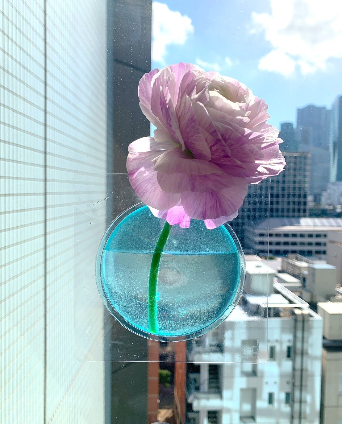 お花と一緒にプレゼント】水を入れるだけで花瓶に変身！折りたためる