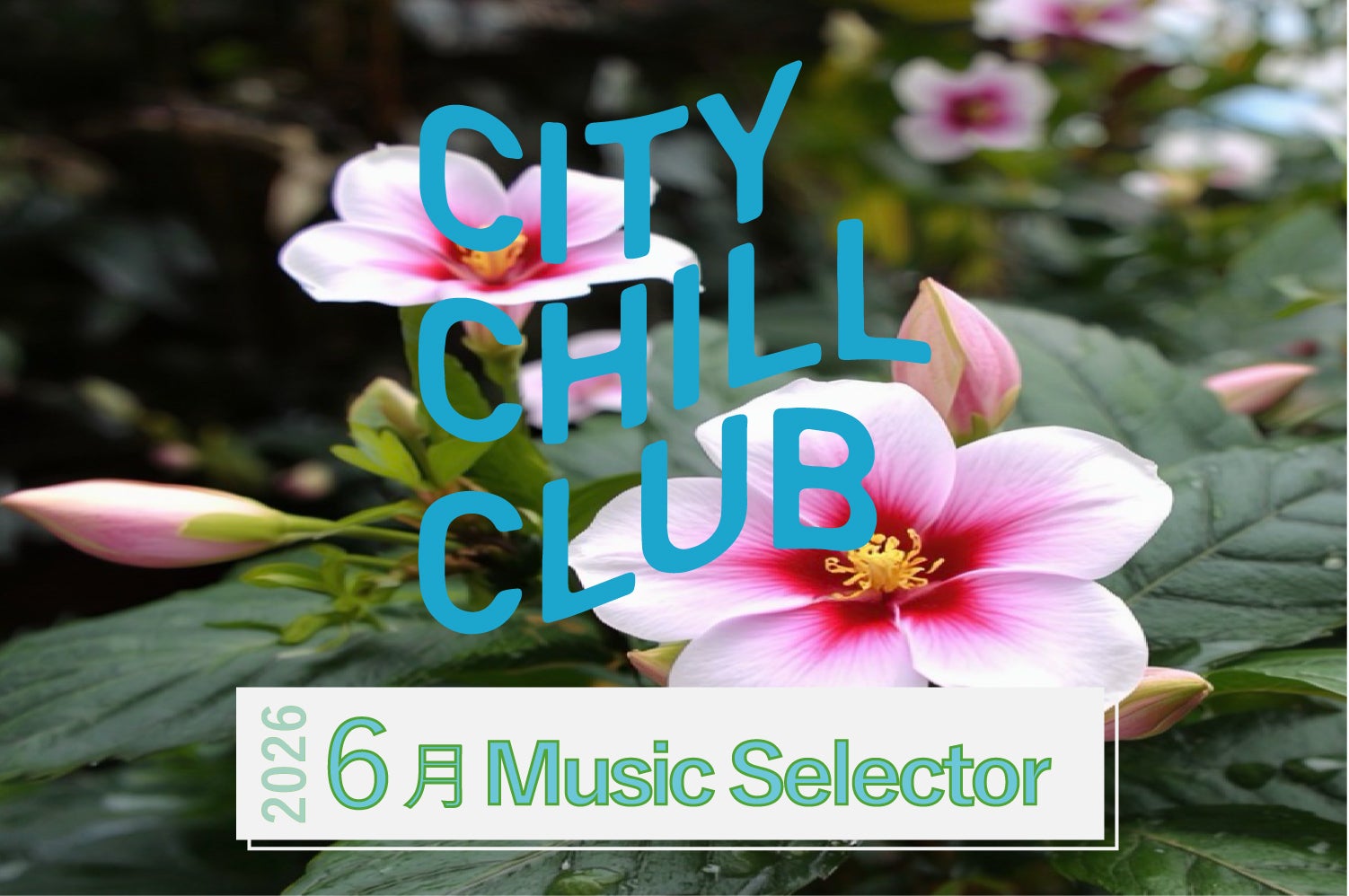 『CITY CHILL CLUB』6月のミュージックセレクターが決定！ | TBSラジオ