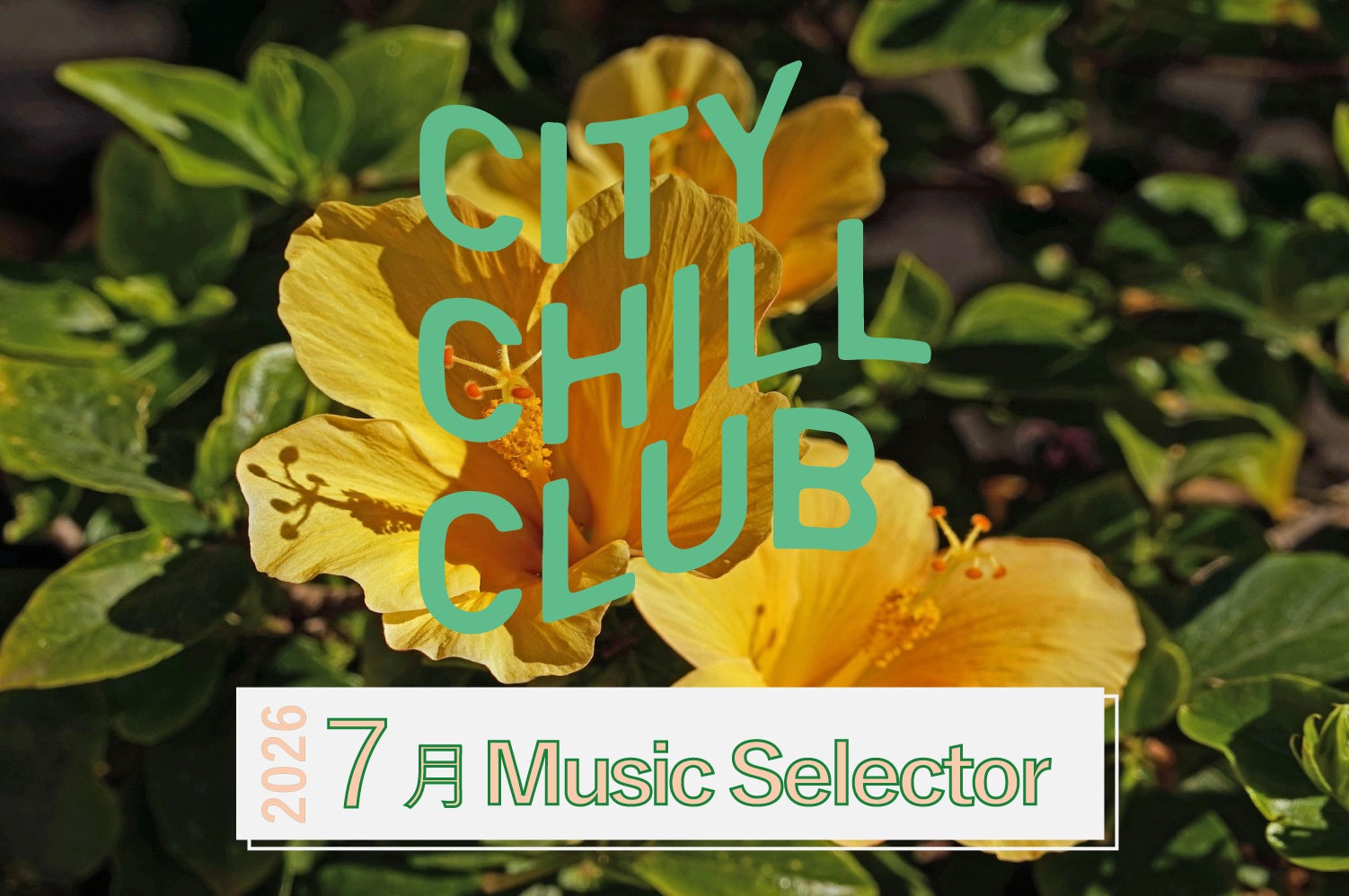 CITY CHILL CLUB』7月のミュージックセレクターが決定！ | TBSラジオ